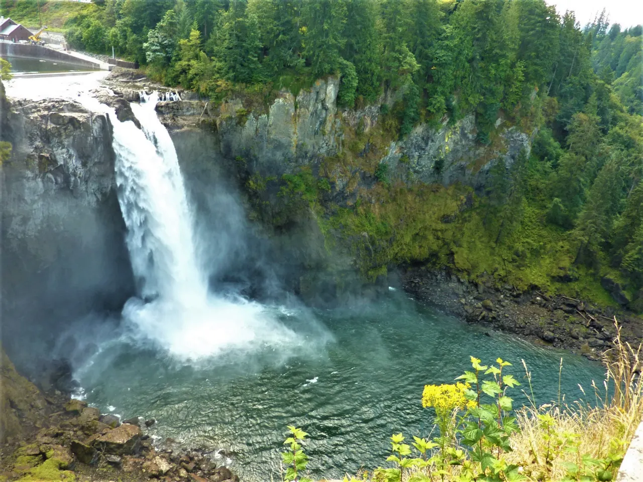 Snoqualmie Falls in summer, falling into a green pool below mossy cliffs