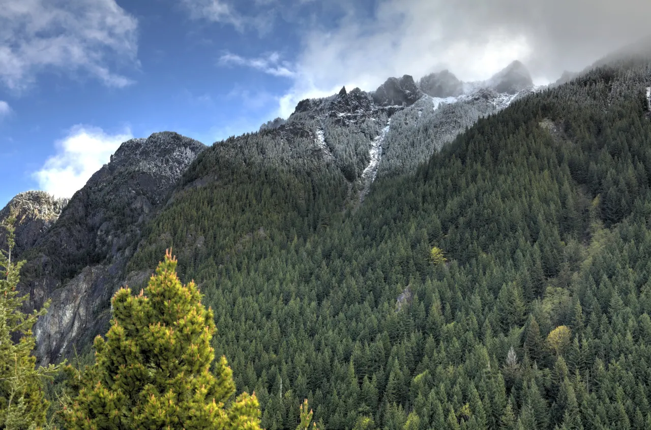 The gray rock face of Little Si above evergreen forest, with clouds and snowy peaks