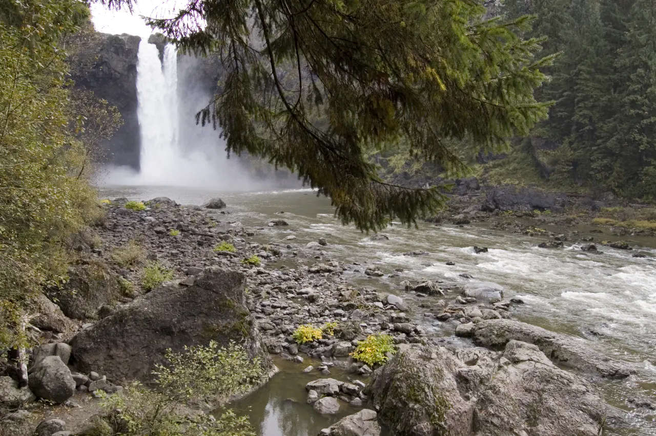 Snoqualmie Falls seen through evergreen branches from the riverside lower viewpoint