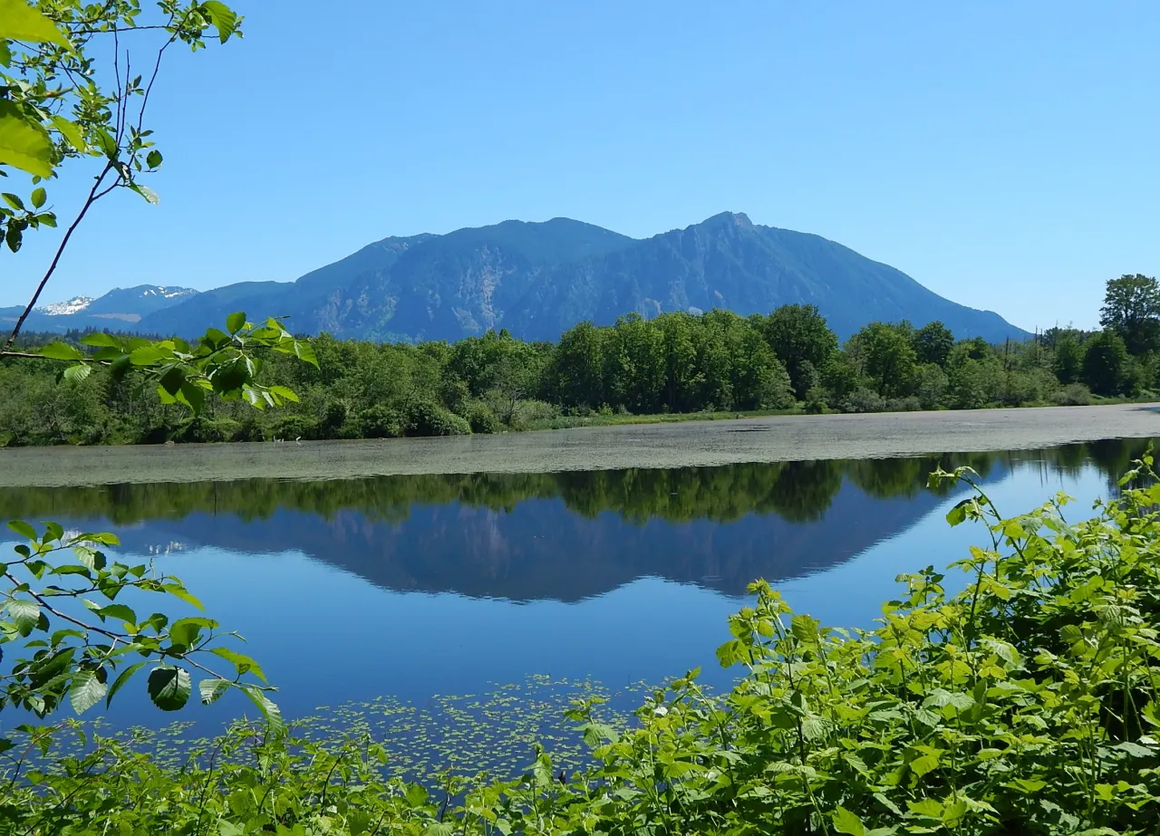 Mount Si and a line of trees reflected in a still pond under a clear sky